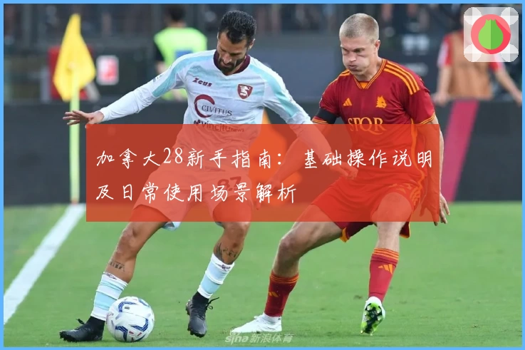 加拿大28新手指南：基础操作说明及日常使用场景解析