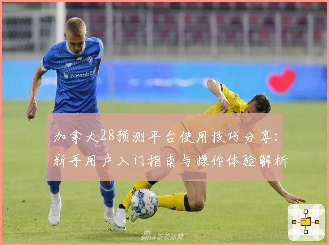 加拿大28预测平台使用技巧分享:新手用户入门指南与操作体验解析
