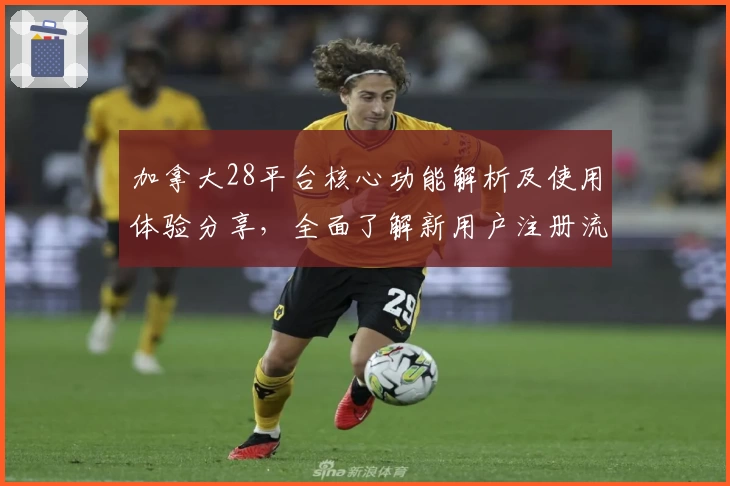 加拿大28平台核心功能解析及使用体验分享,全面了解新用户注册流程和操作技巧