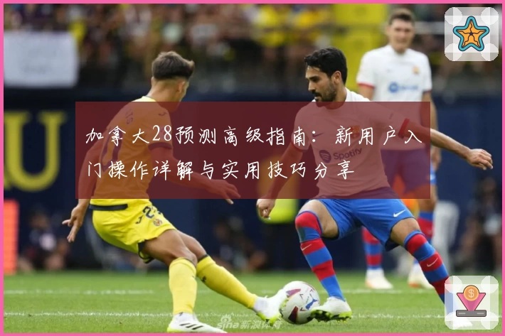 加拿大28预测高级指南：新用户入门操作详解与实用技巧分享