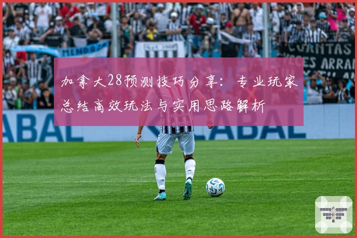 加拿大28预测技巧分享：专业玩家总结高效玩法与实用思路解析