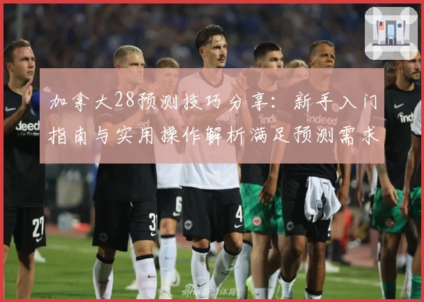 加拿大28预测技巧分享：新手入门指南与实用操作解析满足预测需求