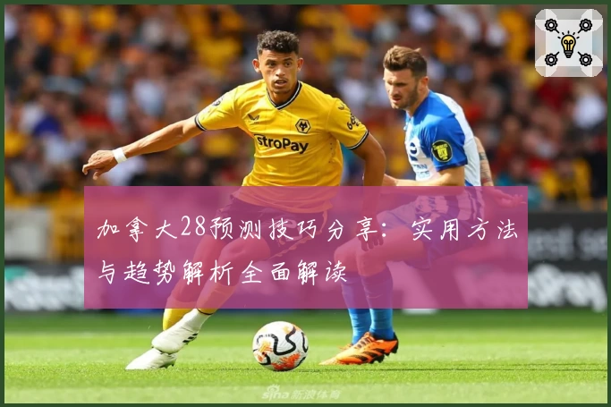 加拿大28预测技巧分享:实用方法与趋势解析全面解读