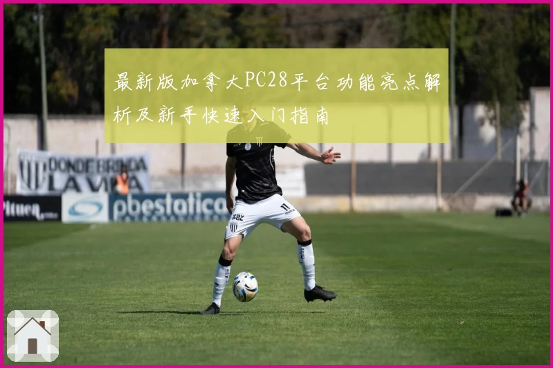 最新版加拿大PC28平台功能亮点解析及新手快速入门指南