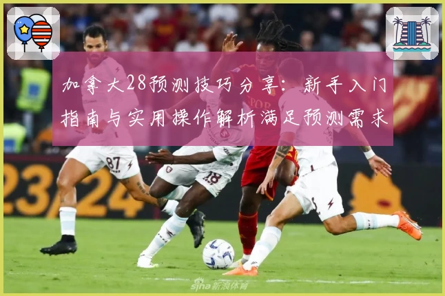 加拿大28预测技巧分享：新手入门指南与实用操作解析满足预测需求