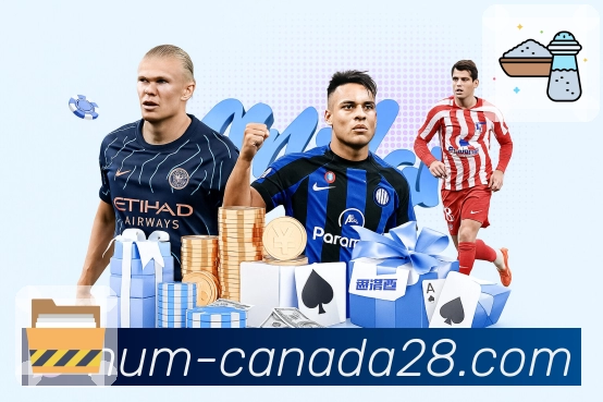 品牌荣誉伴随成长