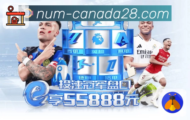 快速查看彩种历史开奖信息和走势图，加拿大28网页端